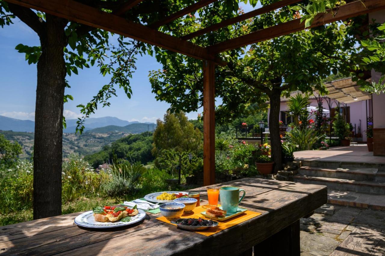 B&B Albachiara Casa Di Campagna Олястро Чиленто Екстериор снимка