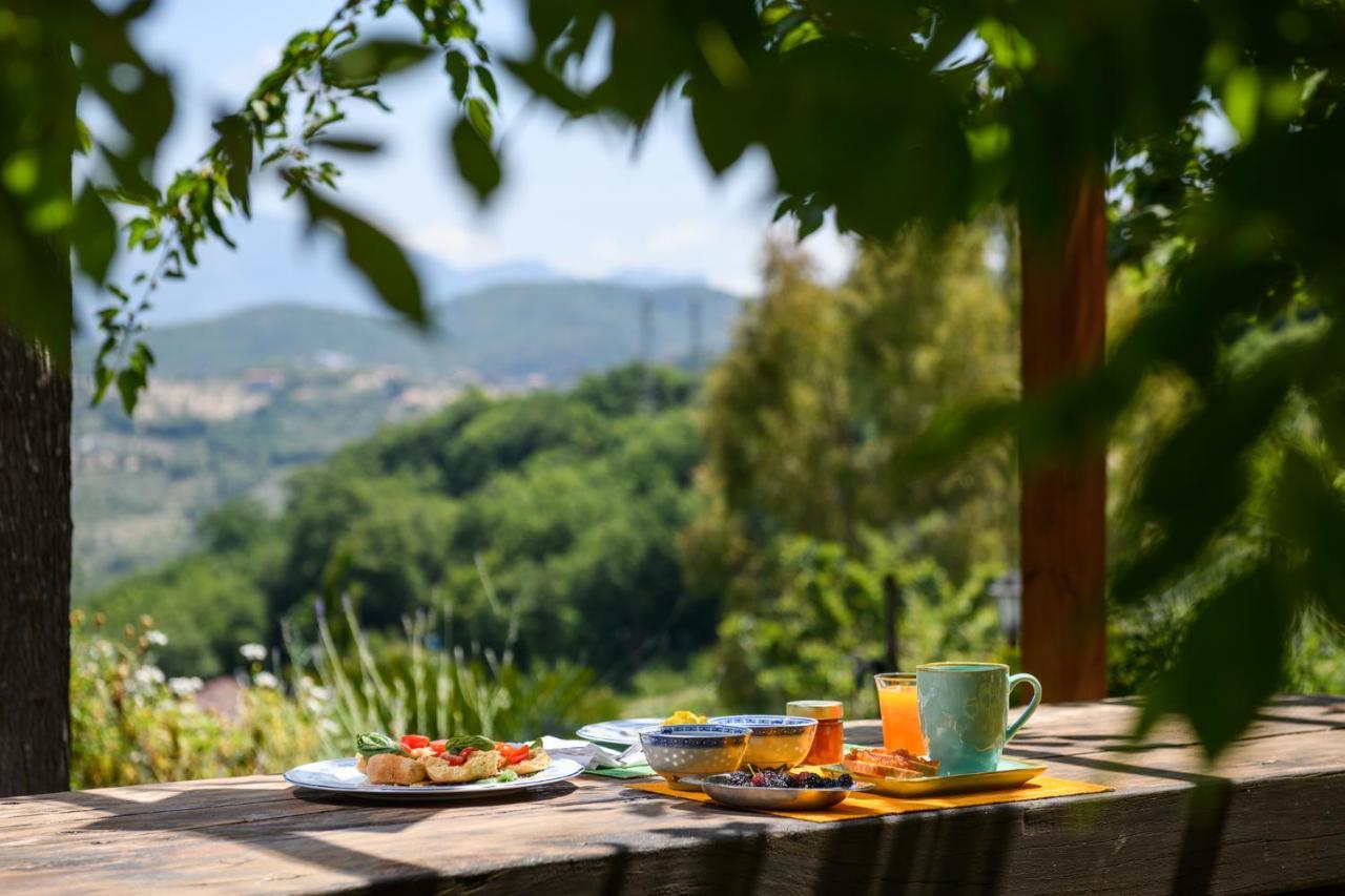B&B Albachiara Casa Di Campagna Олястро Чиленто Екстериор снимка