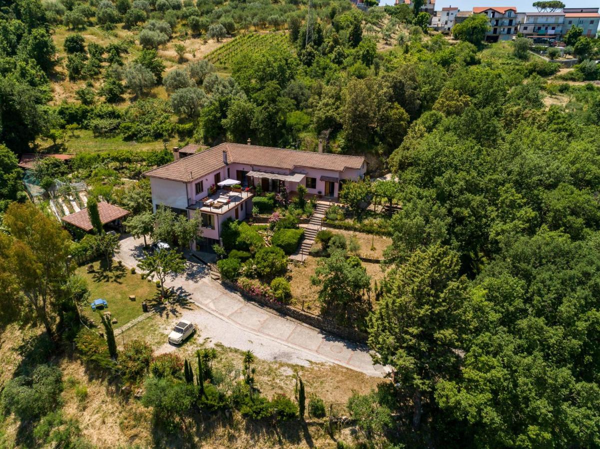 B&B Albachiara Casa Di Campagna Олястро Чиленто Екстериор снимка