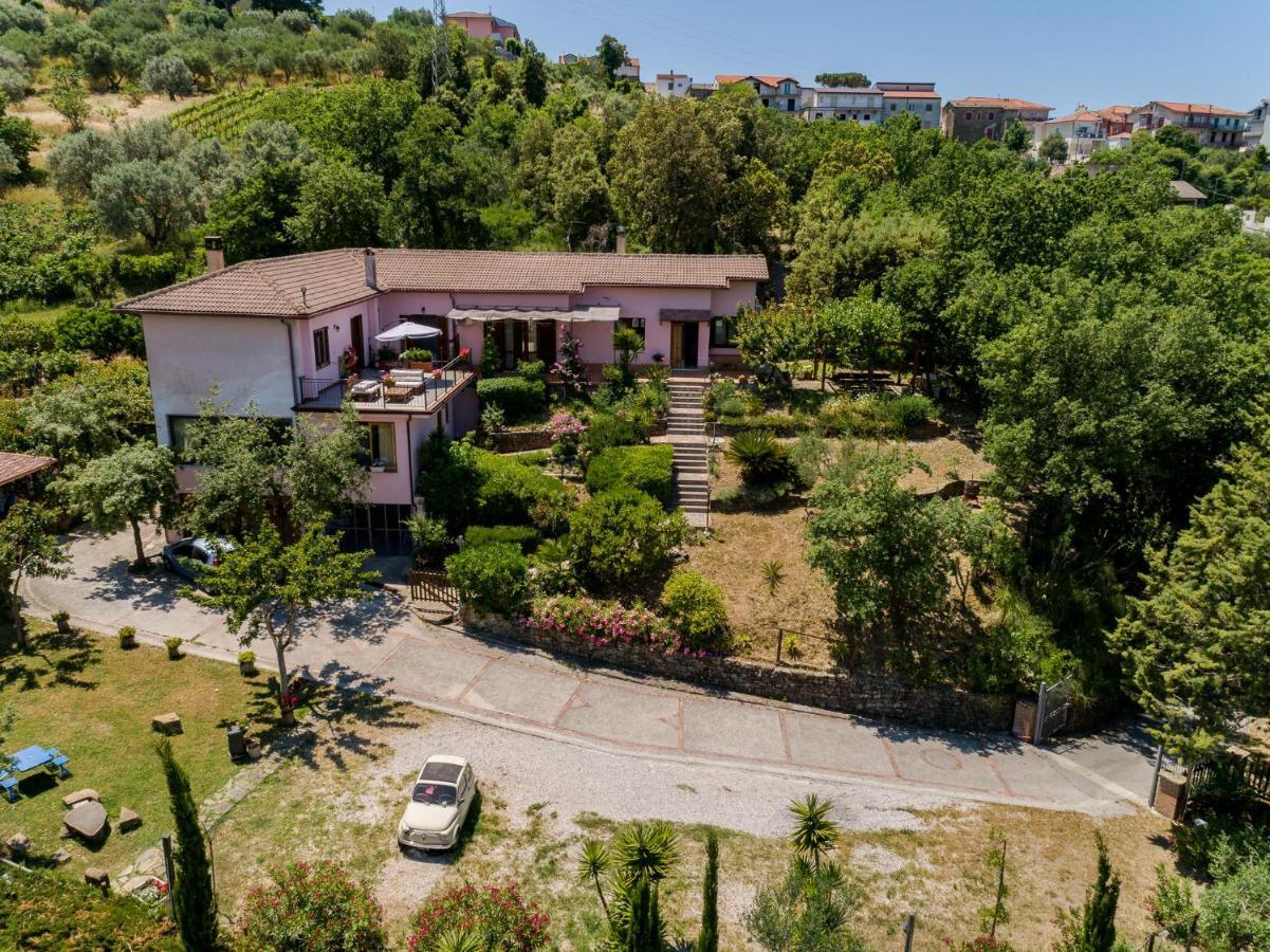 B&B Albachiara Casa Di Campagna Олястро Чиленто Екстериор снимка