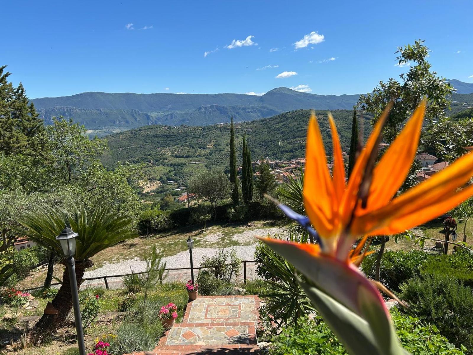 B&B Albachiara Casa Di Campagna Олястро Чиленто Екстериор снимка