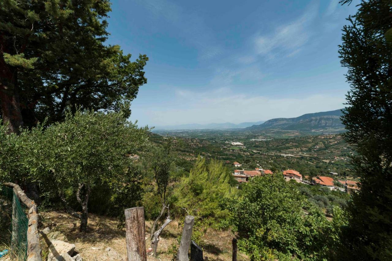 B&B Albachiara Casa Di Campagna Олястро Чиленто Екстериор снимка